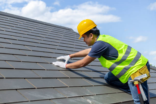 Roof Gutter Cleaning in Byron, IL